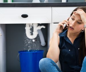 About Plumbers Pros West Davenport, NY